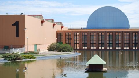 Imagen de la entrada