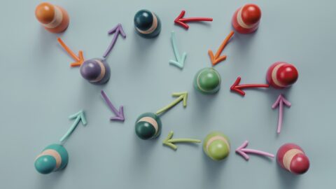 Imagen de la entrada