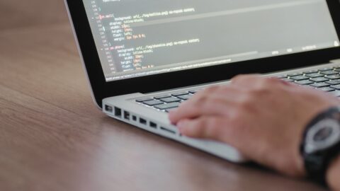 Imagen de la entrada