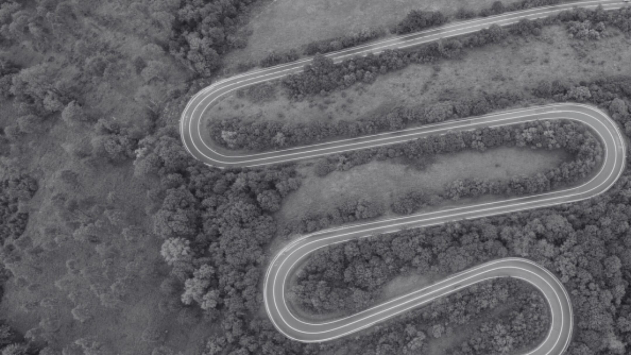 Imagen de la entrada