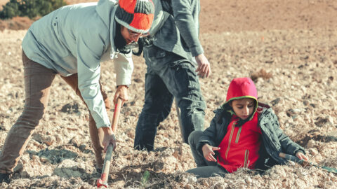 Imagen de la entrada