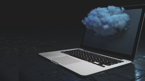 Imagen de la entrada