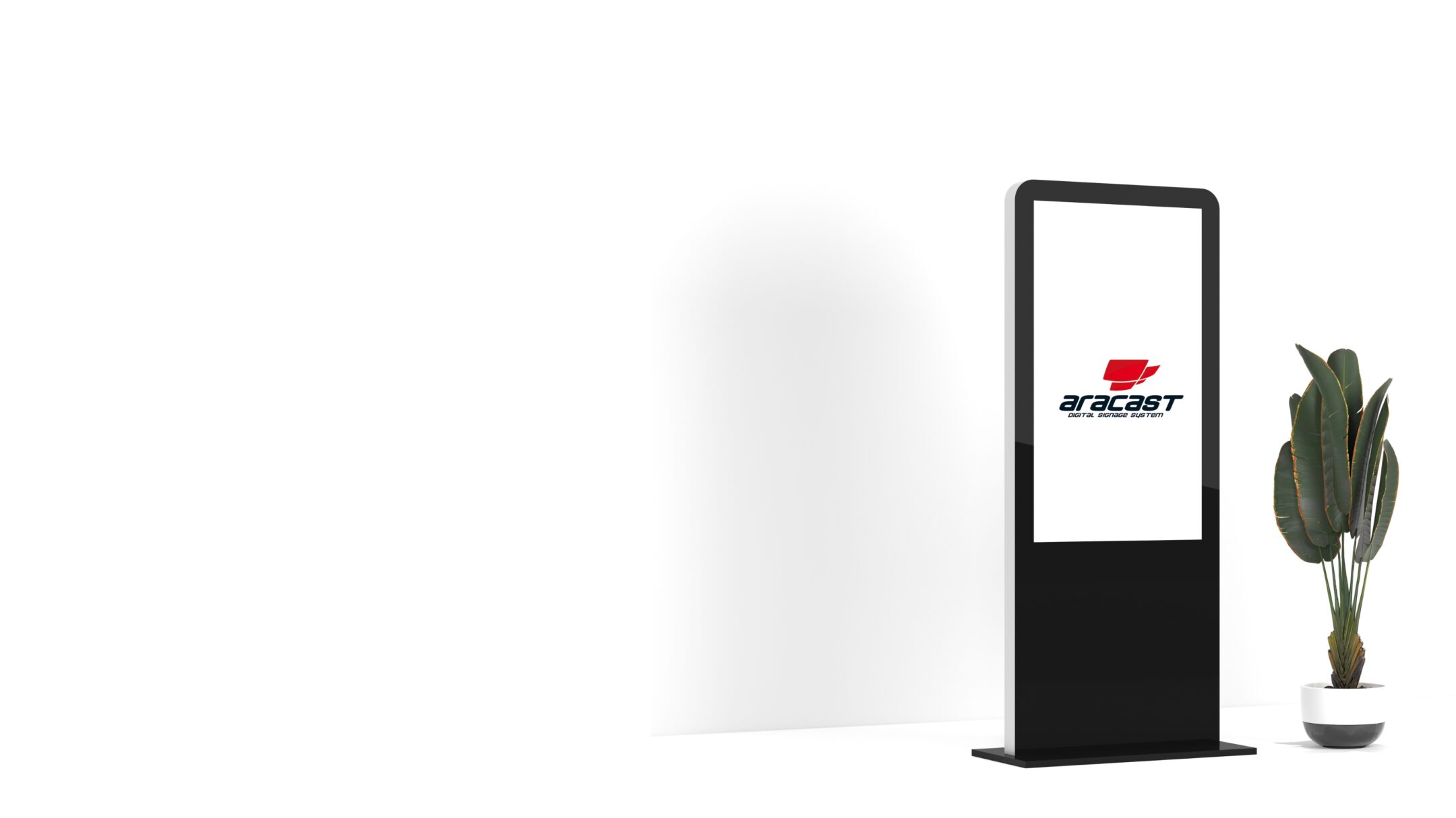 Imagen de la entrada