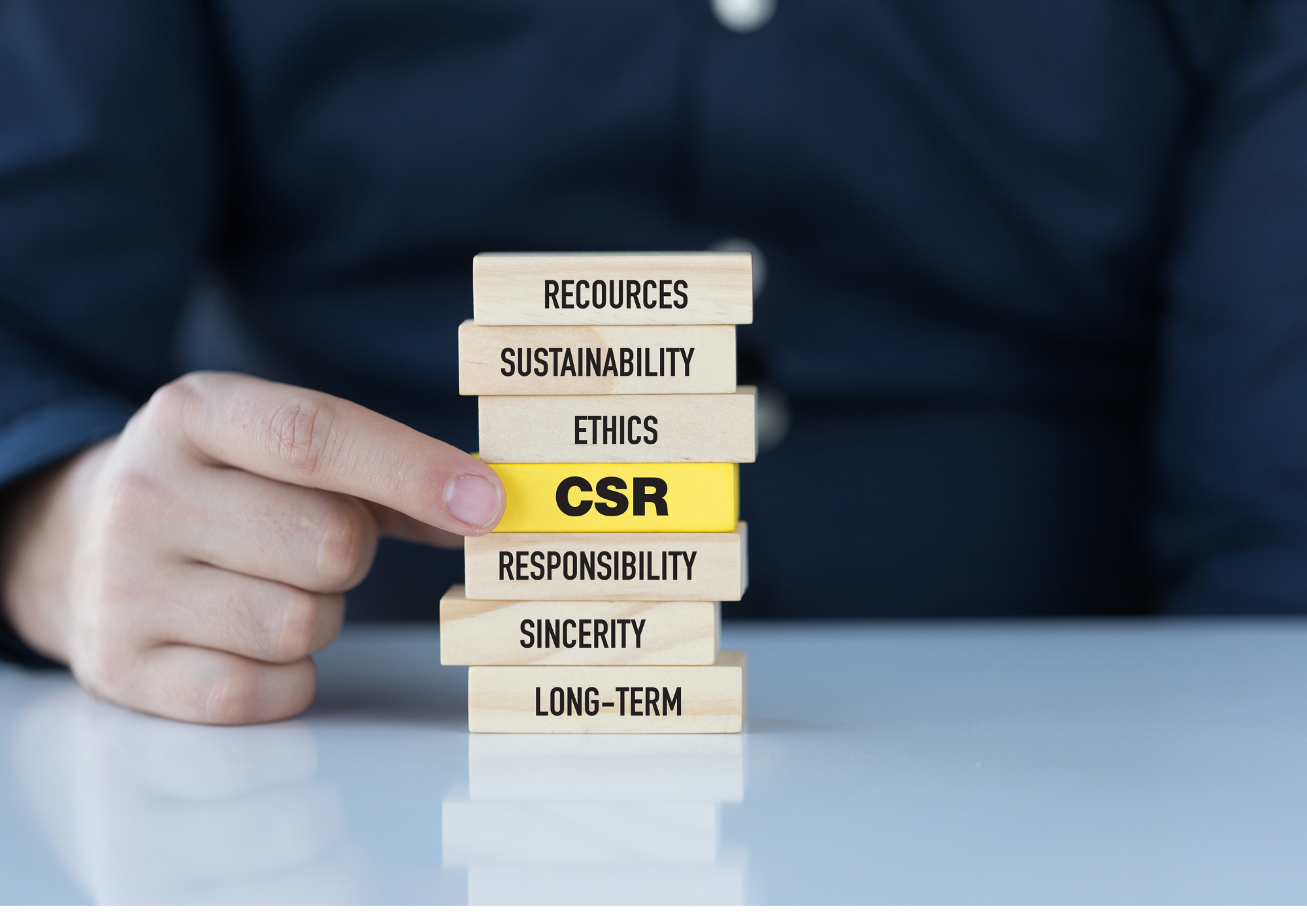 Imagen de la entrada