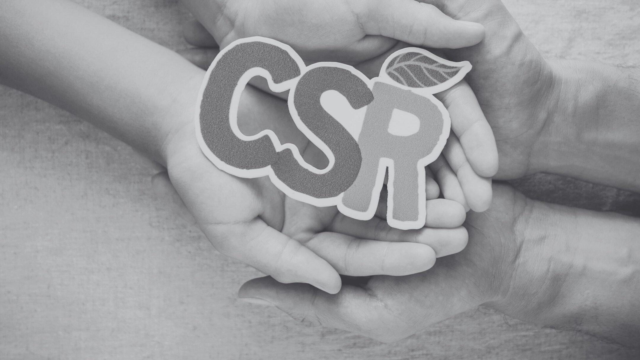 Imagen de la entrada