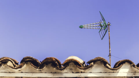 Imagen de la entrada