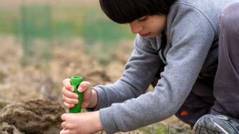 Imagen de la entrada