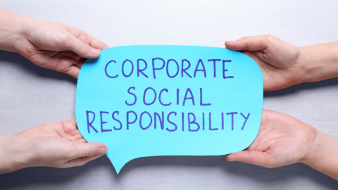 Imagen de la entrada