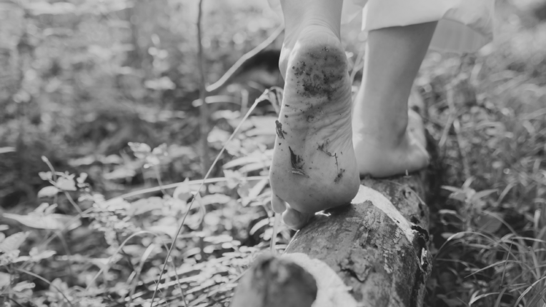 Pies descalzos caminand por el bosque