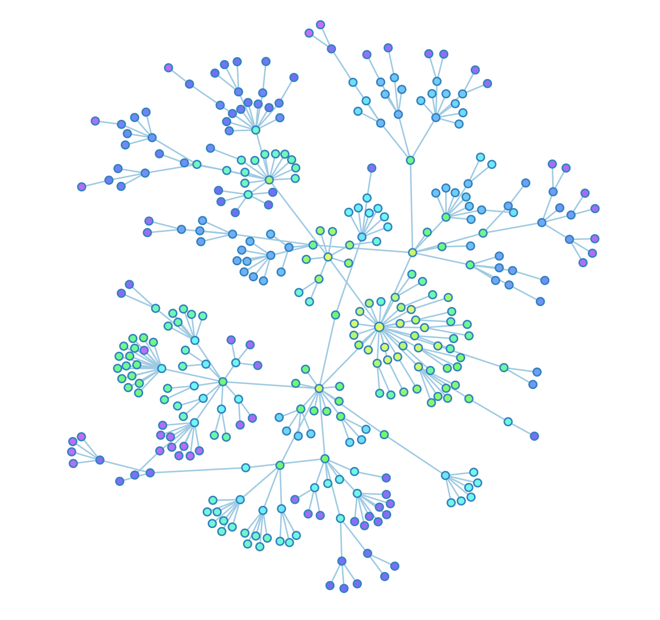 Estructura en DinoRank