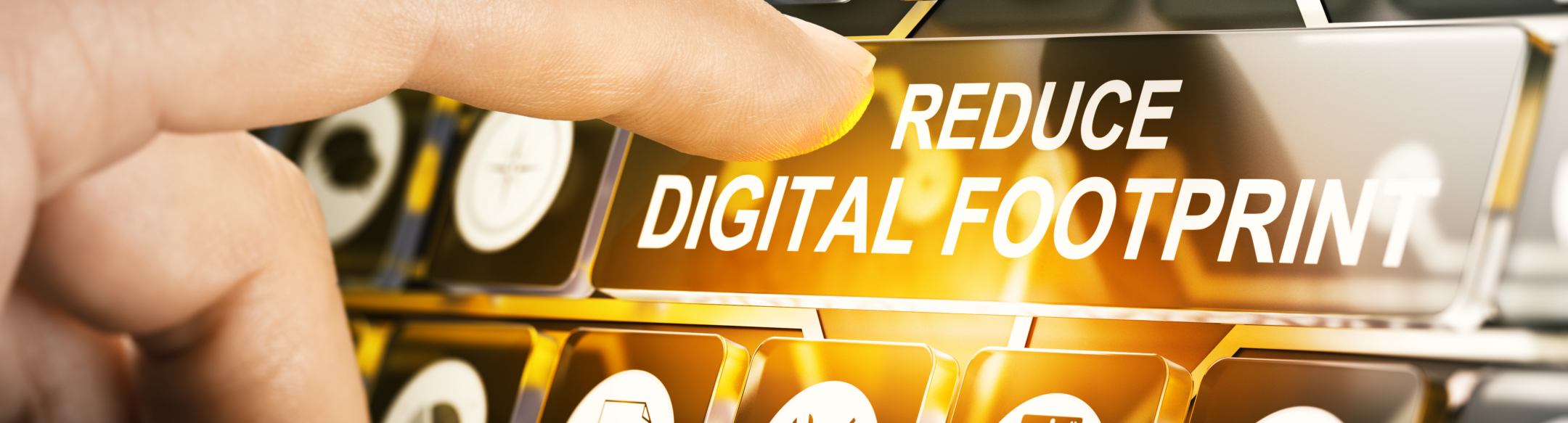 Imagen de la entrada