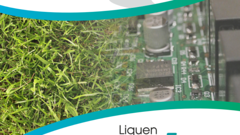 Imagen de la entrada