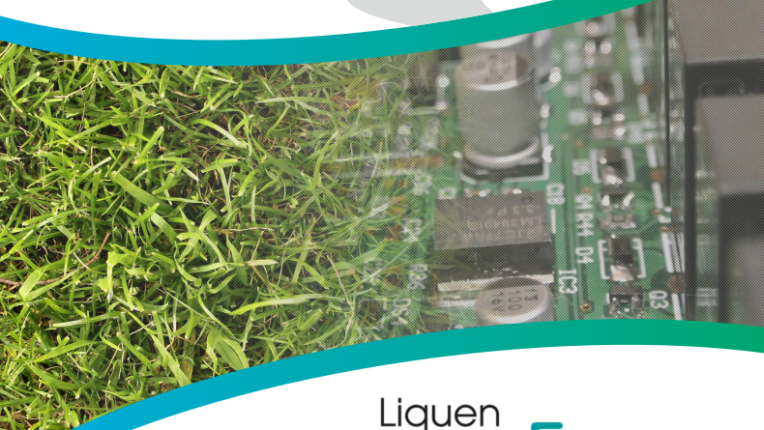 liquen-savenergy-logo
