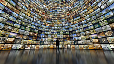 Imagen de la entrada