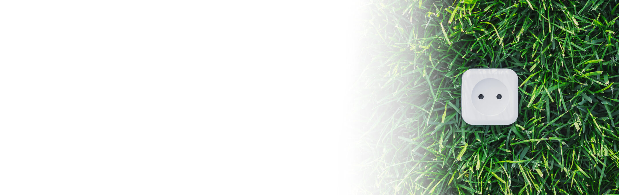 Imagen de la entrada