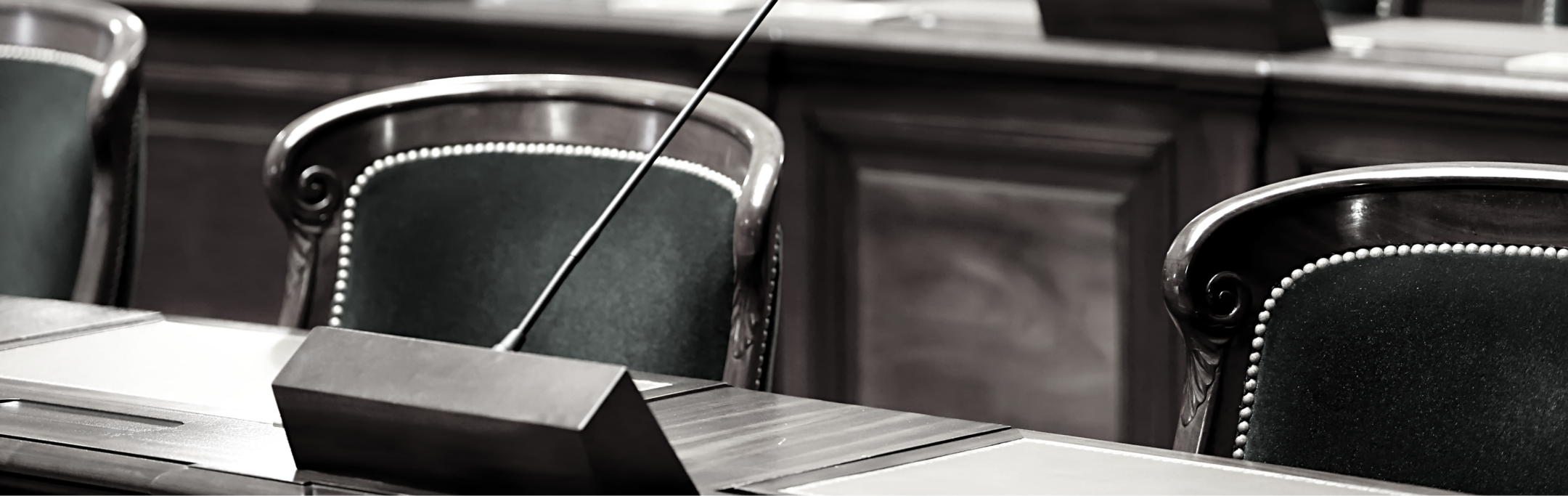 Imagen de la entrada