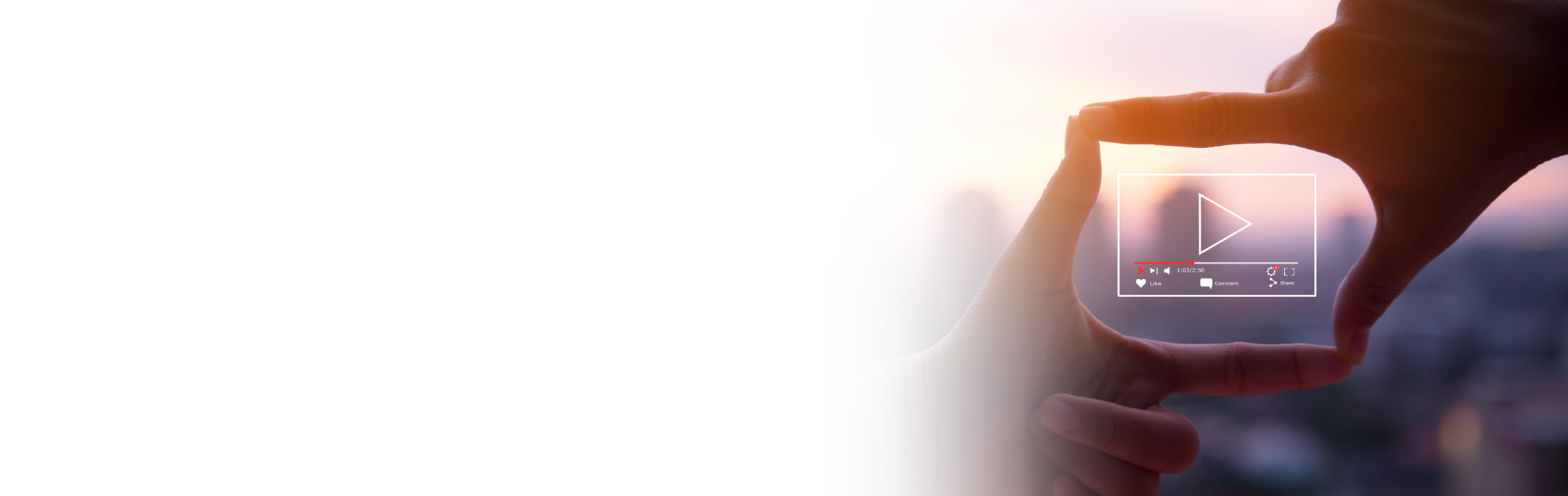 Imagen de la entrada