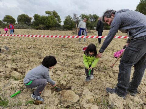 whatsapp-image-2022-03-26-at-31916-pm-1