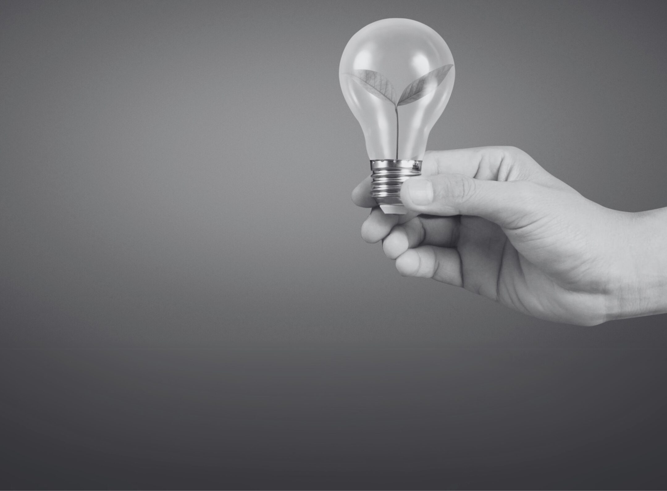 Imagen de la entrada