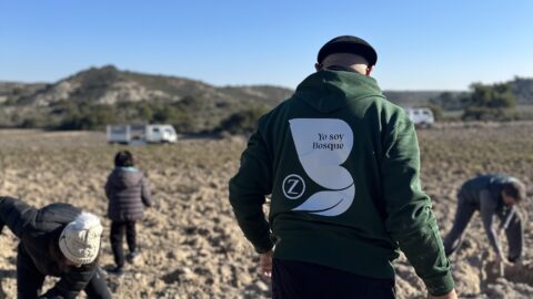 Imagen de la entrada