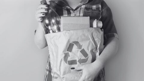 Imagen de la entrada