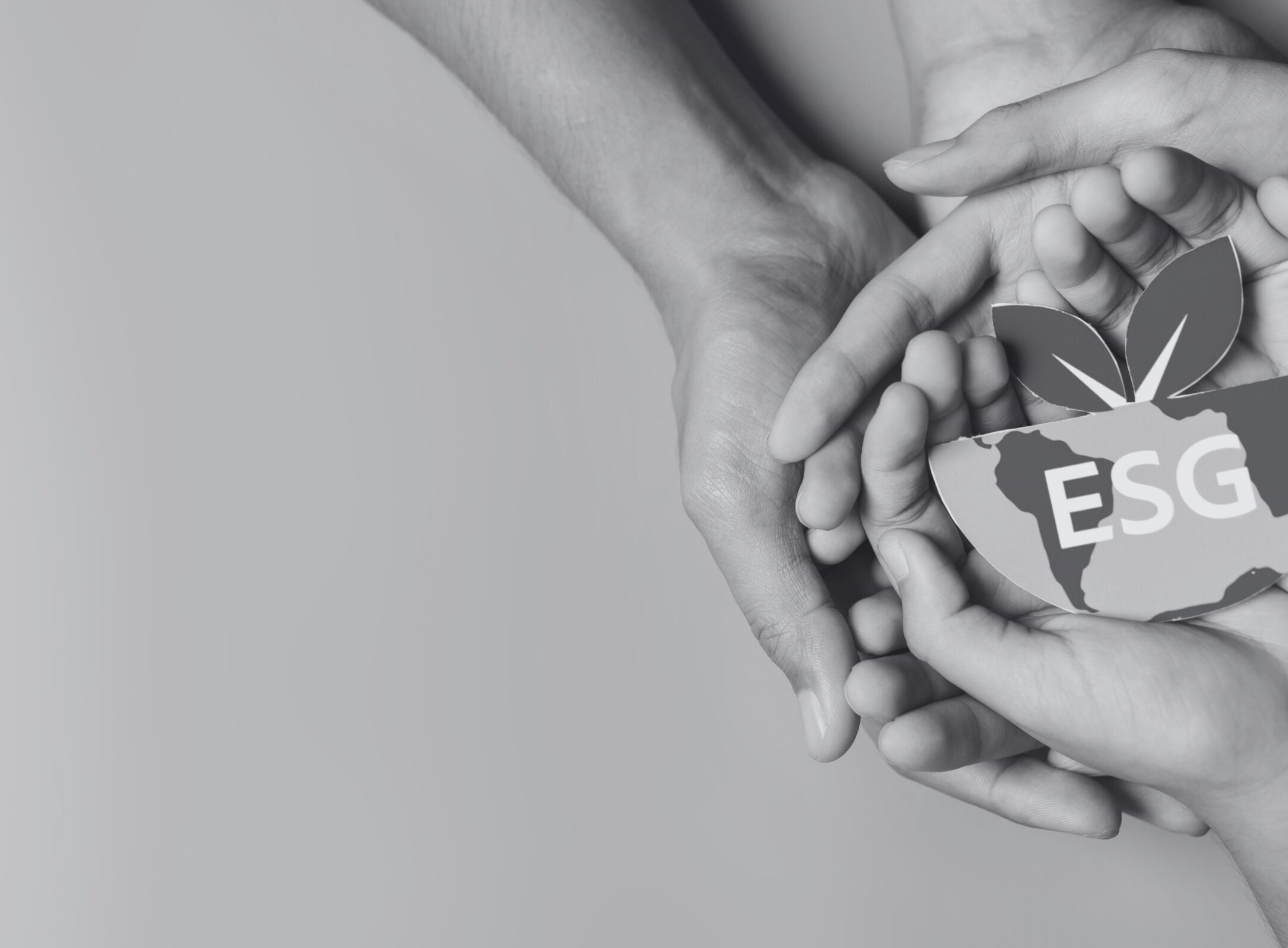 Imagen de la entrada