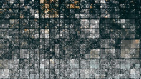 Imagen de la entrada