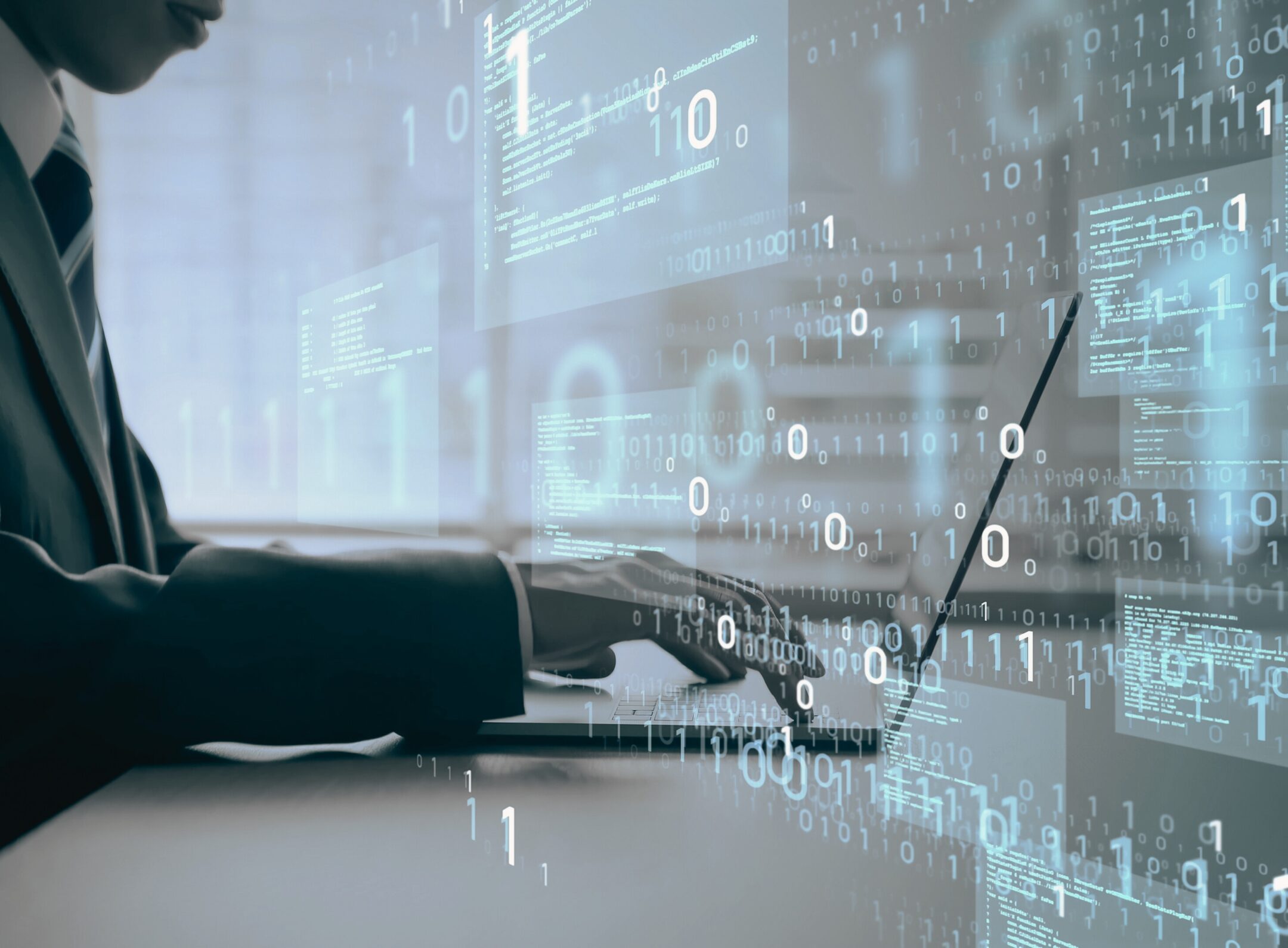 Imagen de la entrada