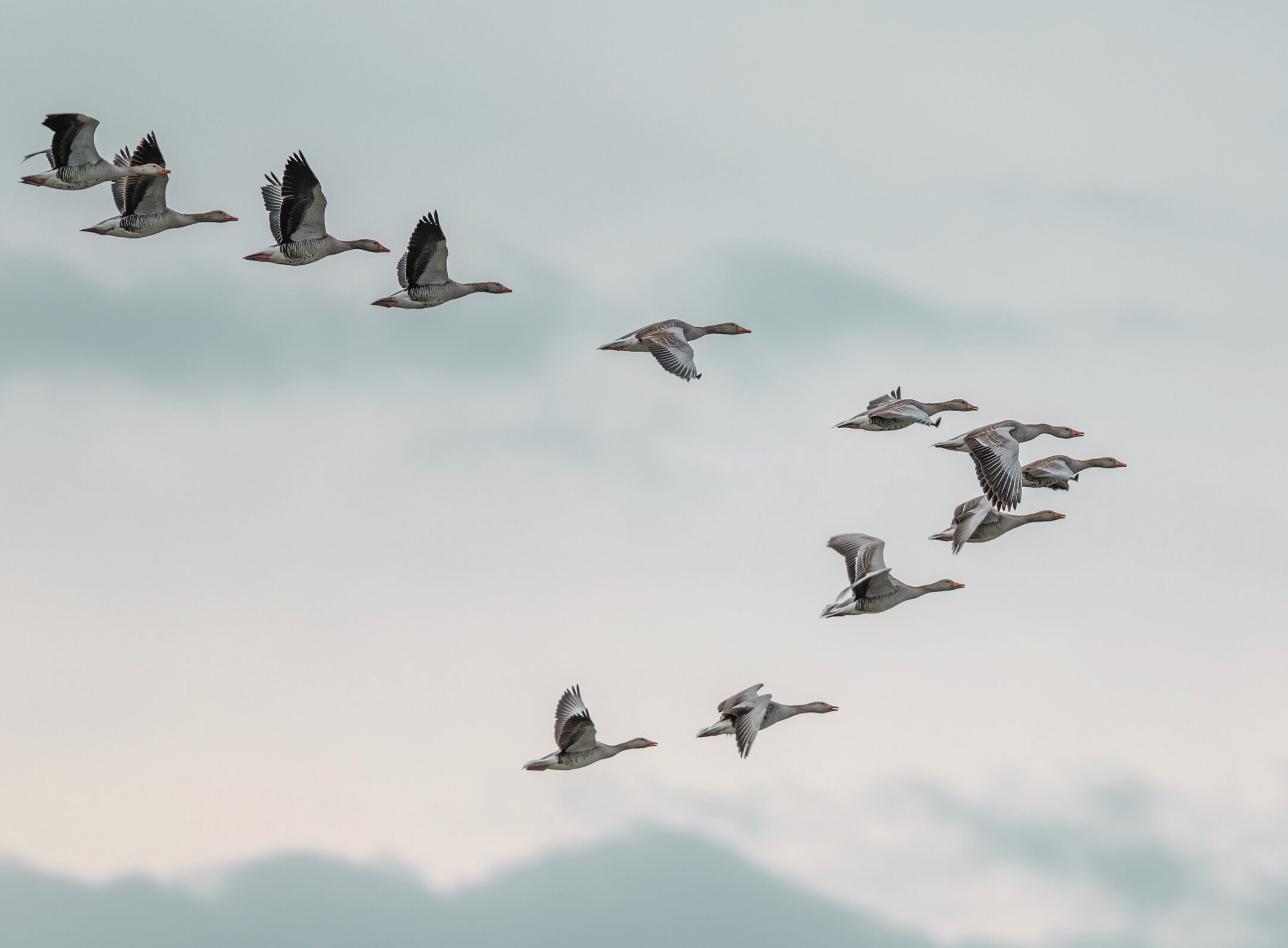 Imagen de la entrada