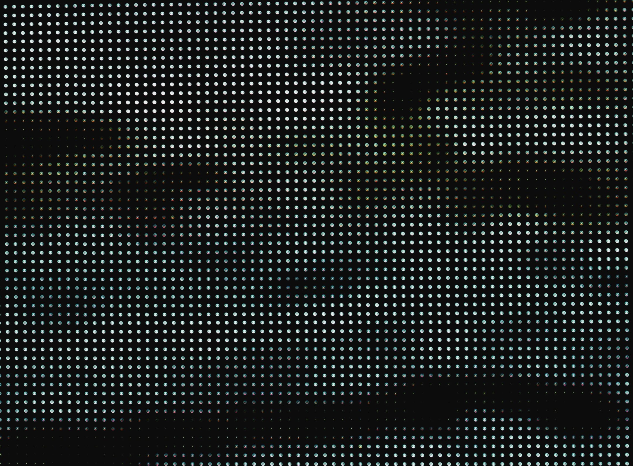 Imagen de la entrada